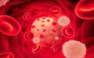 Паренхиматозное кровотечение: как остановить
