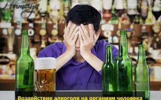 Время расщепления алкоголя в крови у мужчин